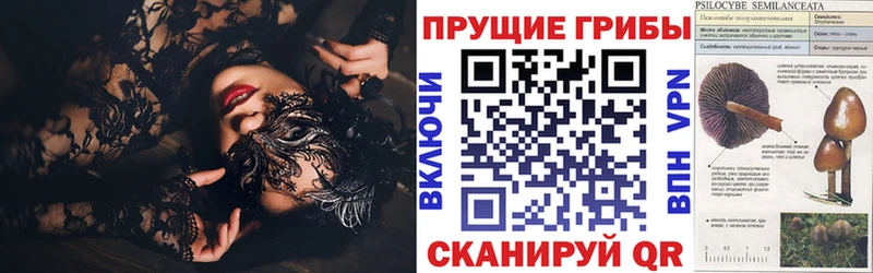 Галлюциногенные грибы мицелий Болотное